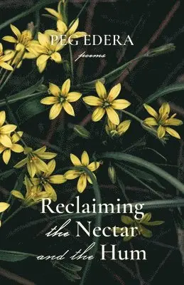 Peg Edera - Reclaiming the Nectar and the Hum, Häftad. Tillgänglighet: Lägg i varukorg