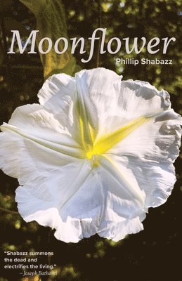 Phillip Shabazz - Moonflower, Häftad