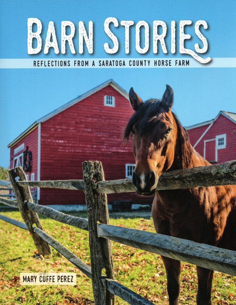 Mary Cuffe Perez - Barn Stories, Häftad