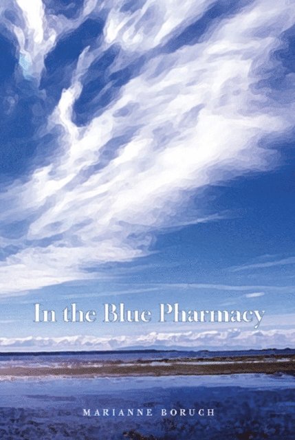 Marianne Boruch - In the Blue Pharmacy, E-bok