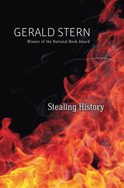 Gerald Stern - Stealing History, E-bok