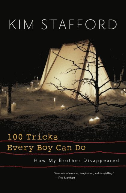Kim Stafford - 100 Tricks Every Boy Can Do, E-bok