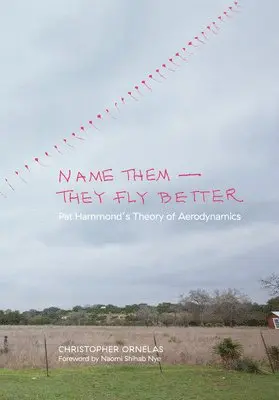 Christopher Ornelas - Name Them—They Fly Better, Häftad. Tillgänglighet: Tillfälligt slut