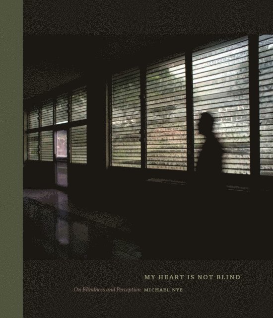 My Heart Is Not Blind, E-bok