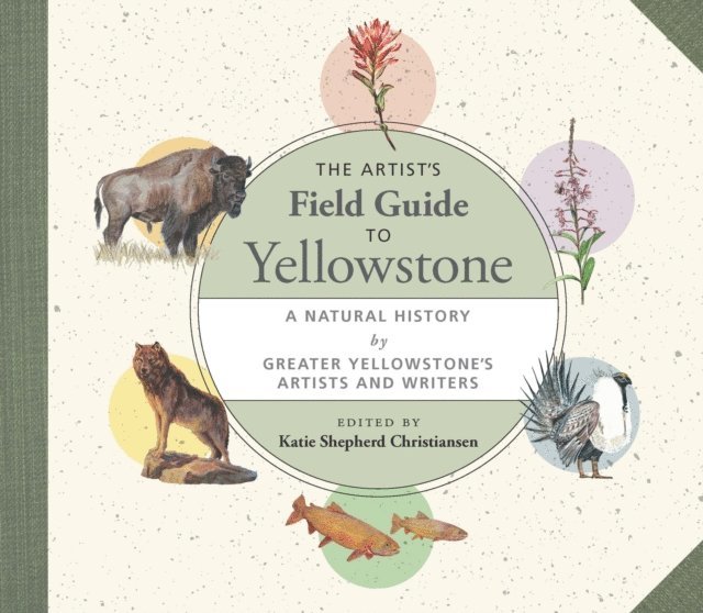 Katie Shepherd Christiansen - Artist's Field Guide to Yellowstone, E-bok