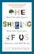 Shaping of Us