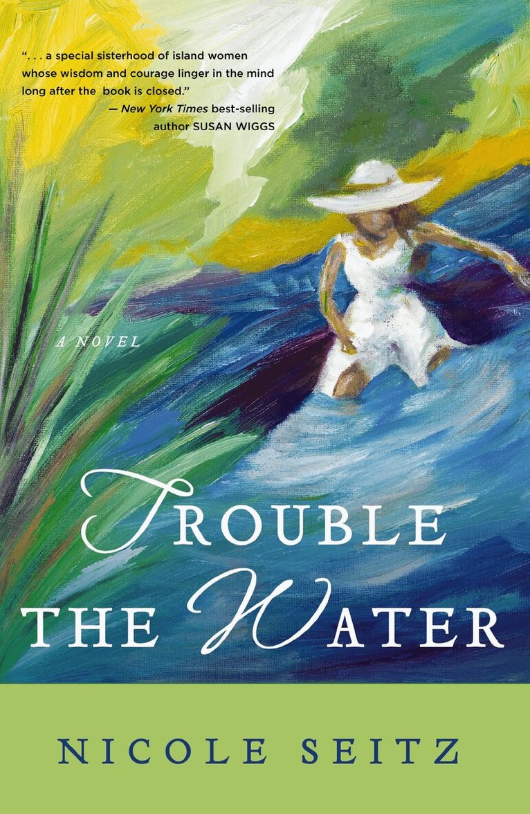 Nicole Seitz - Trouble the Water, Häftad