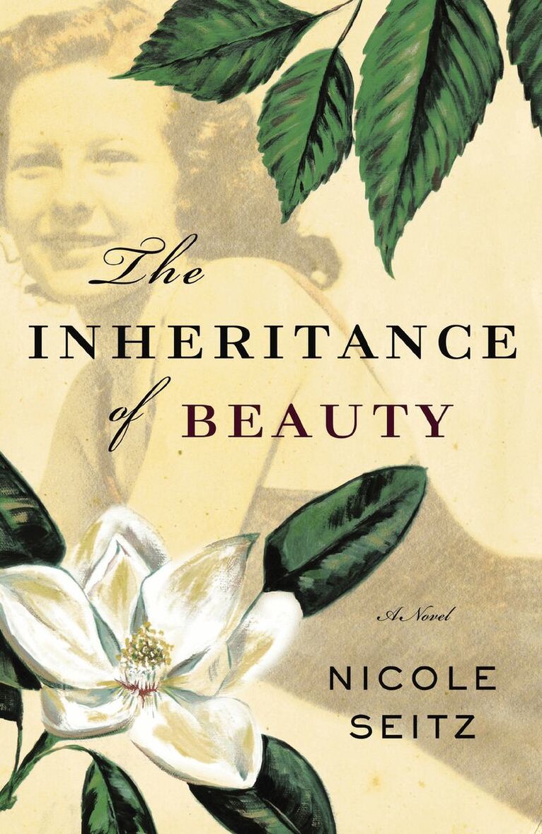 Nicole Seitz - Inheritance of Beauty, Häftad