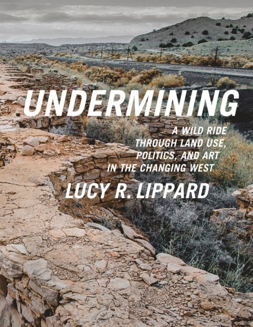 Lucy R. Lippard - Undermining, E-bok