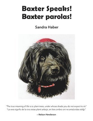 Sandra Haber - Baxter Speaks. Baxter parolas., Häftad