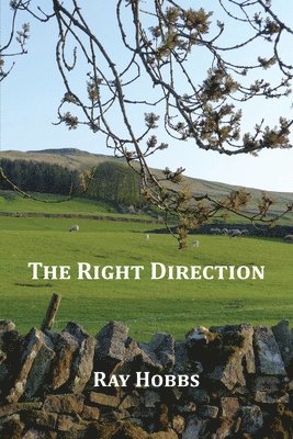 Ray Hobbs - Right Direction, Häftad