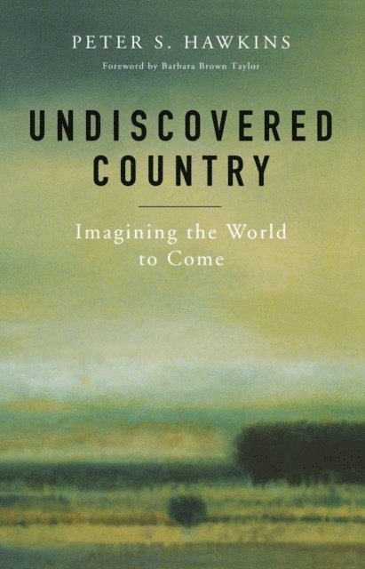 Peter S. Hawkins - Undiscovered Country, E-bok