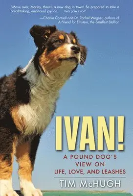 Tim McHugh - Ivan!, Inbunden. Tillgänglighet: Lägg i varukorg