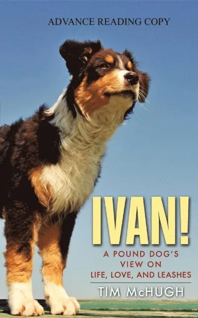 Tim McHugh - Ivan!, E-bok. Tillgänglighet: Lägg i varukorg