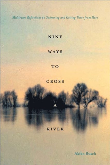 Akiko Busch - Nine Ways to Cross a River, E-bok