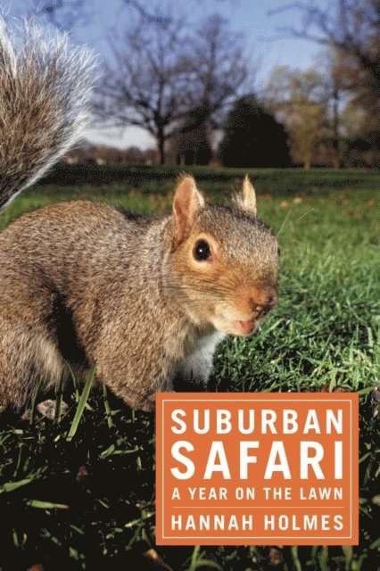 Hannah Holmes - Suburban Safari, E-bok