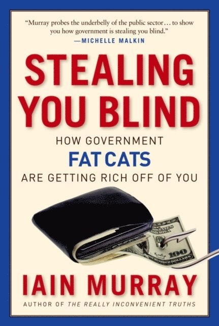 Iain Murray - Stealing You Blind, E-bok