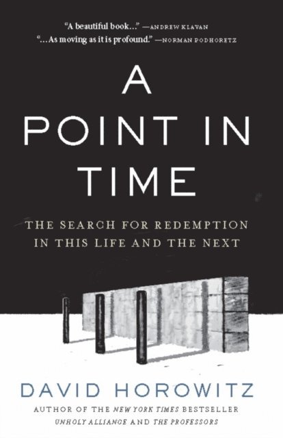 David Horowitz - Point in Time, E-bok