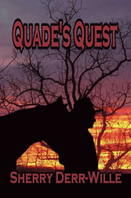 Sherry Derr-Wille - Quade's Quest, E-bok