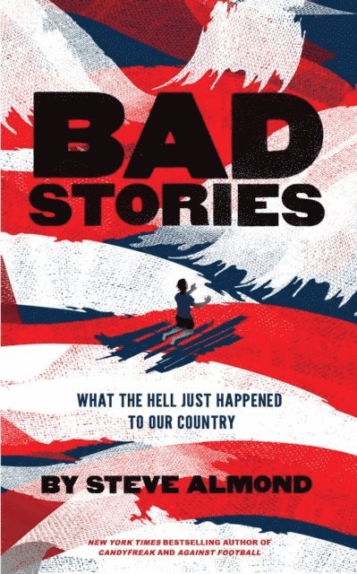 Steve Almond - Bad Stories, E-bok