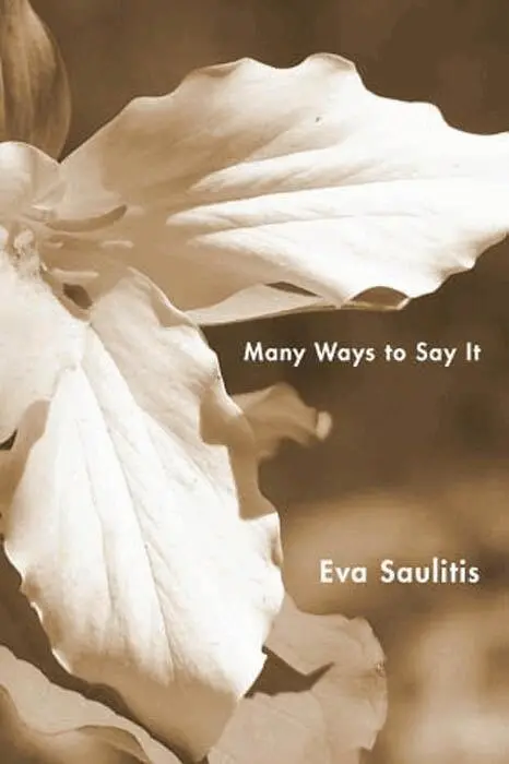 EVA SAULITIS - Many Ways to Say It, Häftad. Tillgänglighet: Tillfälligt slut