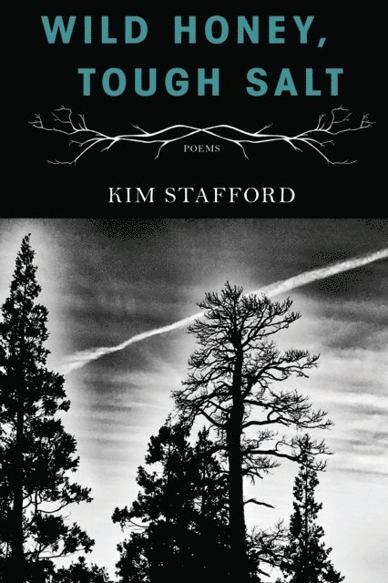 Kim Stafford - Wild Honey, Tough Salt, E-bok