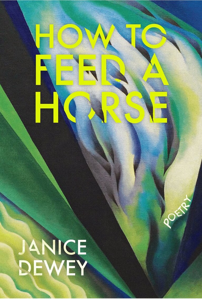 Janice Dewey - How to Feed a Horse, Häftad