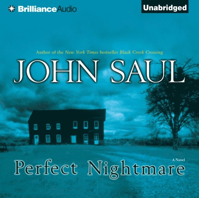 John Saul - Perfect Nightmare, Ljudbok
