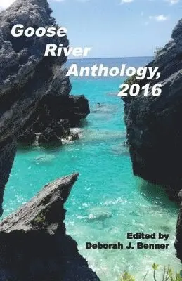 Deborah J Benner - Goose River Anthology, 2016, Häftad. Tillgänglighet: Lägg i varukorg