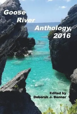 Deborah J Benner - Goose River Anthology, 2016, Inbunden. Tillgänglighet: Lägg i varukorg