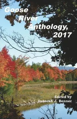 Deborah J Benner - Goose River Anthology, 2017, Häftad. Tillgänglighet: Lägg i varukorg