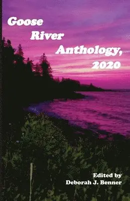 Deborah J Benner - Goose River Anthology, 2020, Häftad. Tillgänglighet: Lägg i varukorg