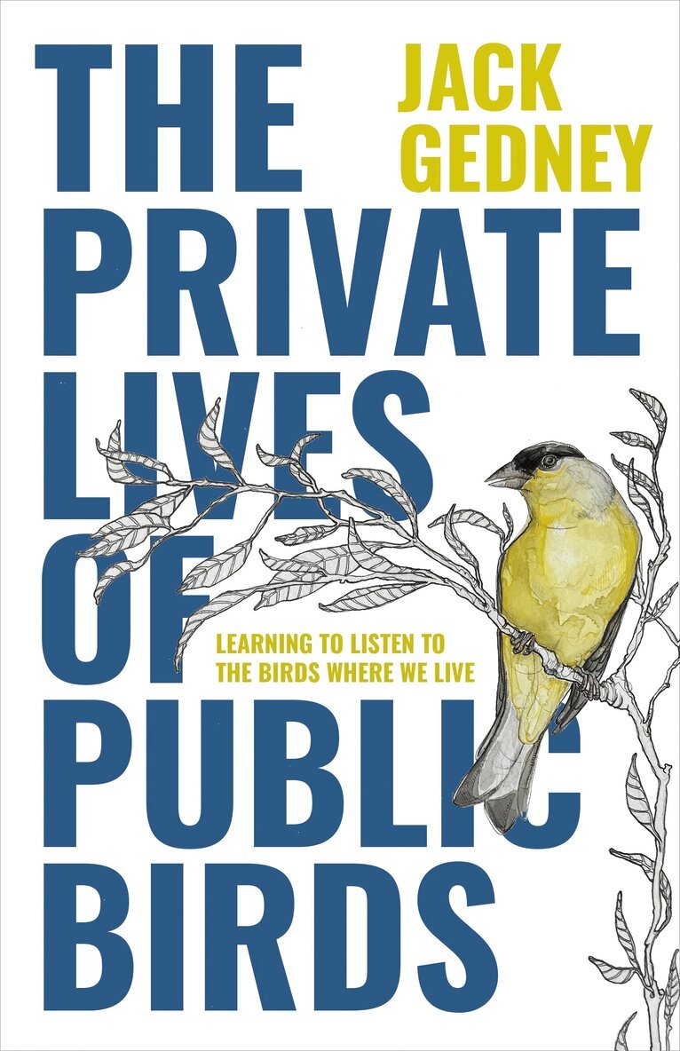 Jack Gedney - Private Lives of Public Birds, Häftad