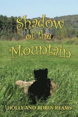 Robin Reams - Shadow of the Mountain, Häftad. Tillgänglighet: Lägg i varukorg