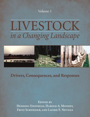 Henning Steinfeld, Harold A. Mooney, Henning Steinfeld, Harold A. Mooney, Fritz Schneider, Laurie E. Neville - Livestock in a Changing Landscape, Volume 1, Häftad. Tillgänglighet: Tillfälligt slut