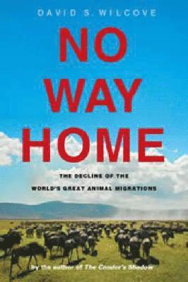 David S. Wilcove - No Way Home, Häftad. Tillgänglighet: Tillfälligt slut