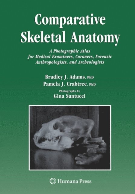 Comparative Skeletal Anatomy