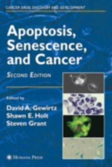 Steven Grant, Shawn E. Holt, David A. Gewirtz - Apoptosis, Senescence and Cancer, E-bok