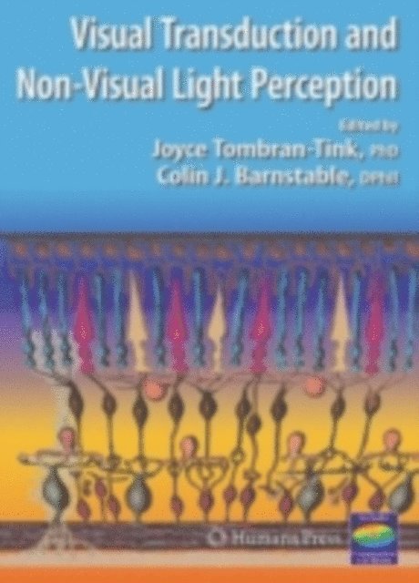 Colin J. Barnstable, Joyce Tombran-Tink - Visual Transduction And Non-Visual Light Perception, E-bok