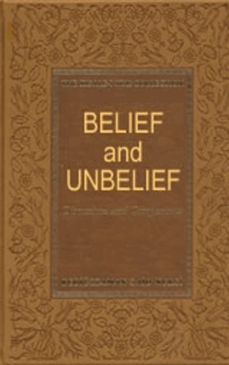 Bediüzzaman Said Nursi - Belief & Unbelief, Inbunden