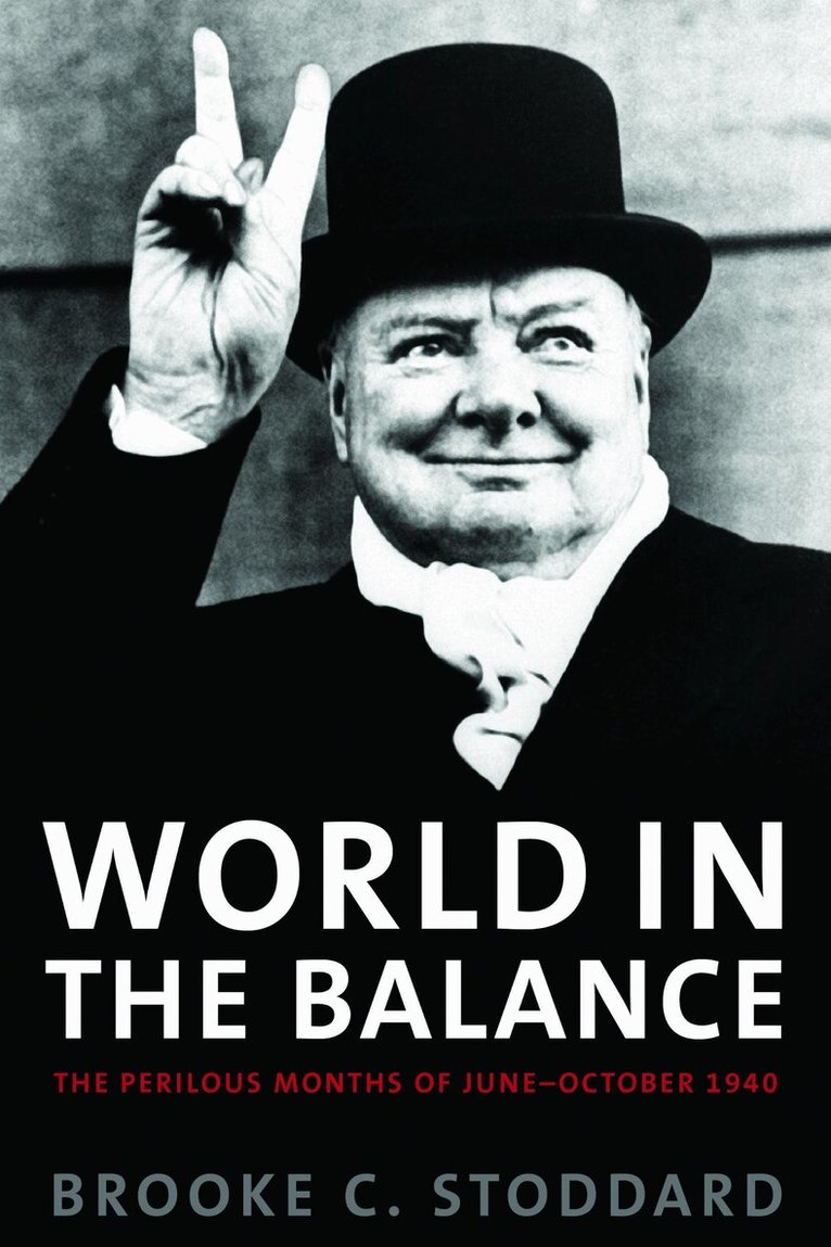 Brooke C. Stoddard - World in the Balance, Inbunden