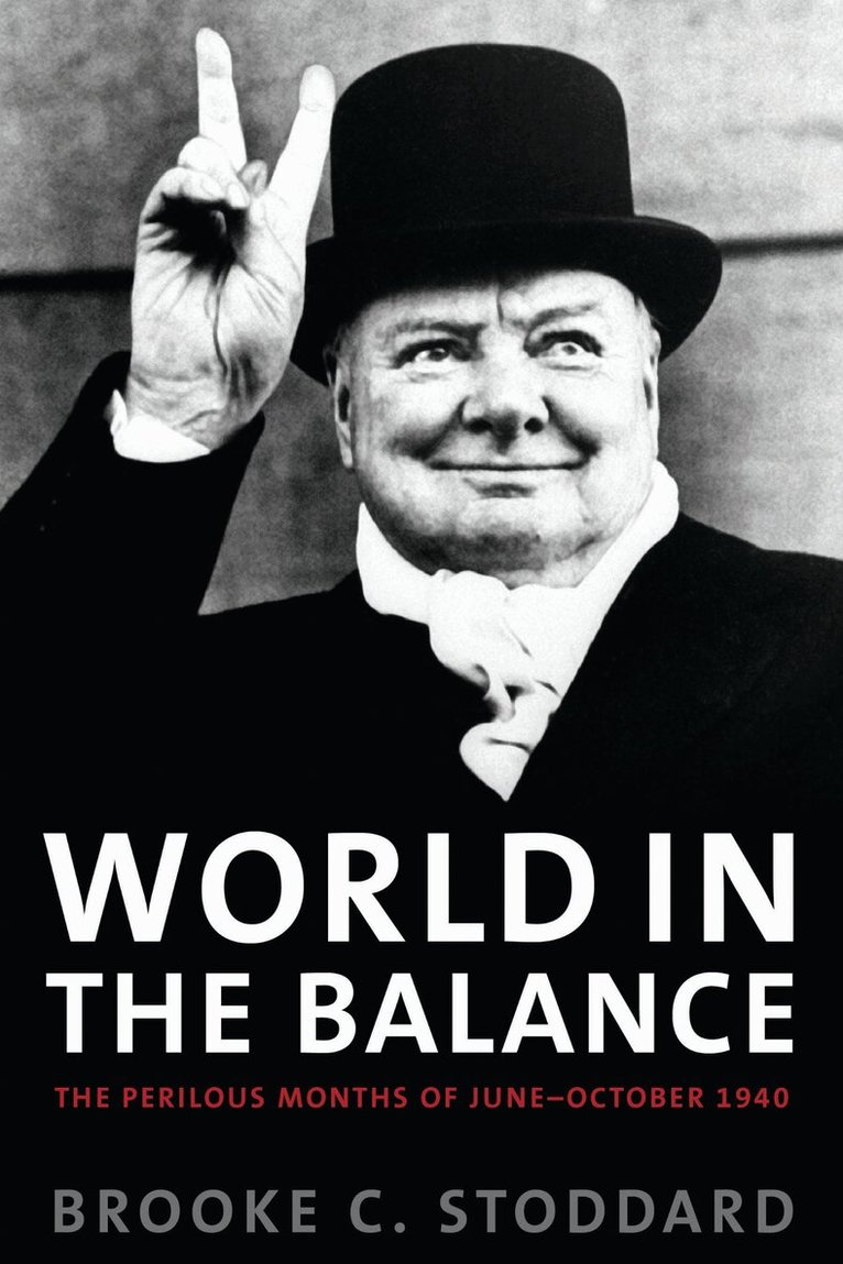 Brooke C. Stoddard - World in the Balance, E-bok
