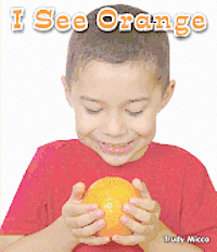 Trudy Micco - I See Orange, Häftad
