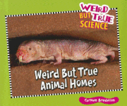 Carmen Bredeson - Weird But True Animal Homes, Häftad