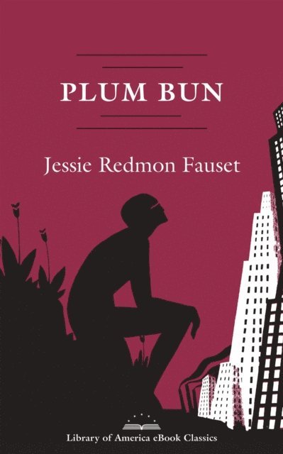 Jessie Redmon Fauset - Plum Bun: A Novel Without a Moral, E-bok