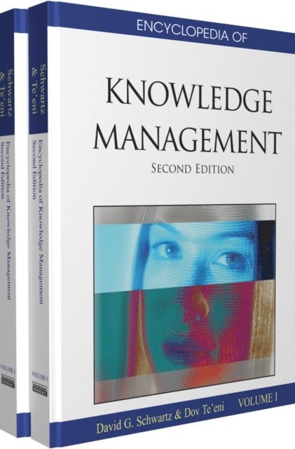 Dov, David - Encyclopedia of Knowledge Management, Second Edition, E-bok