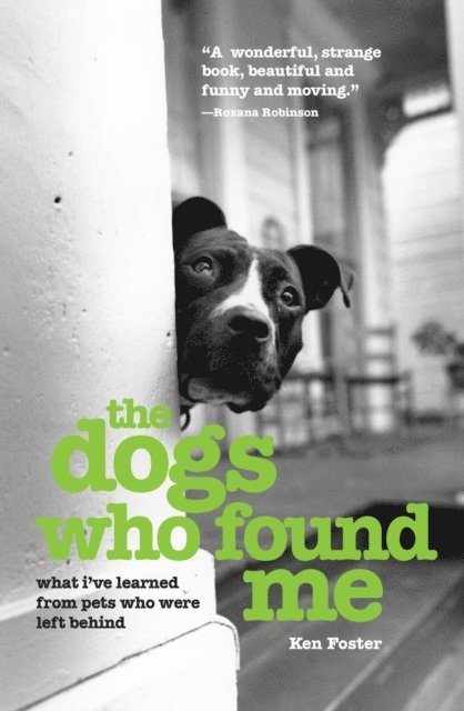 Ken Foster - Dogs Who Found Me, E-bok