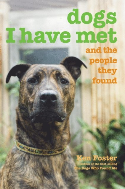 Ken Foster - Dogs I Have Met, E-bok