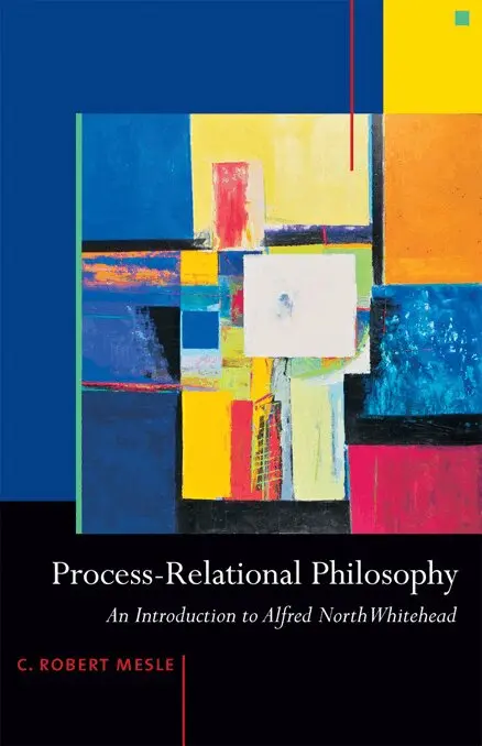 C. Robert Mesle - Process-Relational Philosophy, Häftad. Tillgänglighet: Lägg i varukorg
