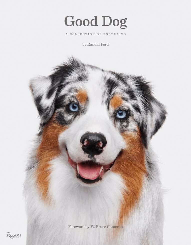 Randal Ford, W. Bruce Cameron - Good Dog, Inbunden